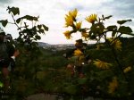 PICT0043.JPG