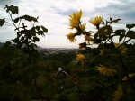 PICT0042.JPG