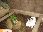 DSC02388 (Small).JPG