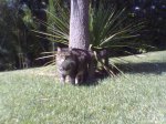 Imagen064.jpg