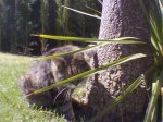 Imagen065.jpg