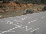 Forza_Pantani.jpg
