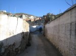 IMG_1973.jpg