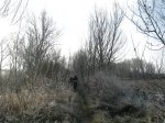 img16.jpg