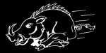 wildschwein.jpg