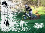 xoxe fox riders copia reducida.JPG