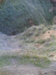20122006(003).jpg