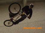 IMGA0216.gif