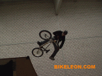 IMGA0243.gif