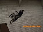 IMGA0244.gif