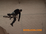 IMGA0254.gif