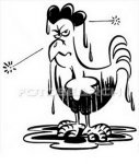 pollo mojado.jpg