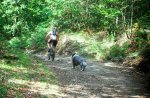 DSCF8559.JPG