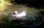 DSCF8554.JPG