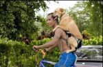 1biciperro.JPG