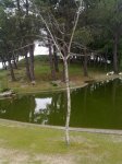 monte dos pozos.JPG