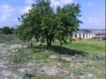 DSC00744.jpg