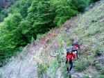 DSC01062.JPG