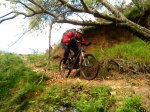 DSC01059.JPG