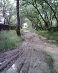 IMG00038.jpg