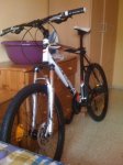 copy_Bici 003.jpg