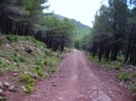 IMG_0020.JPG