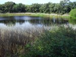 IMG_0017.JPG