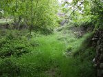 IMG_0023.JPG