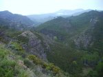IMG_0010.JPG