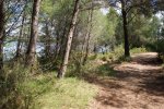 DSC05822.JPG