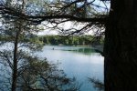 DSC05808.JPG