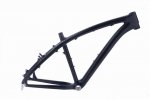 MTB750 (Small).JPG