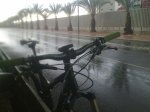 03052011014.jpg