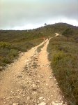 Imagen0241.jpg