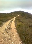 Imagen0238.jpg