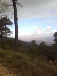 Imagen0237.jpg