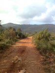 Imagen0228.jpg