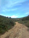 Imagen0231.jpg