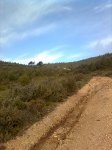 Imagen0230.jpg