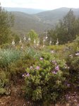 Imagen0234.jpg
