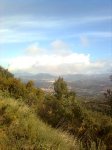 Imagen0224.jpg