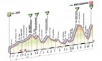 profile14.jpg