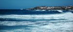 DSC_8362.JPG