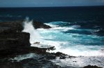 DSC_8331.JPG