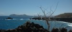 DSC_8327.JPG