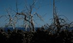DSC_8326.JPG