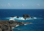 DSC_8273.JPG