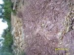 SL273611.JPG