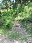 SL273605.JPG