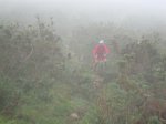 DSC01066.JPG